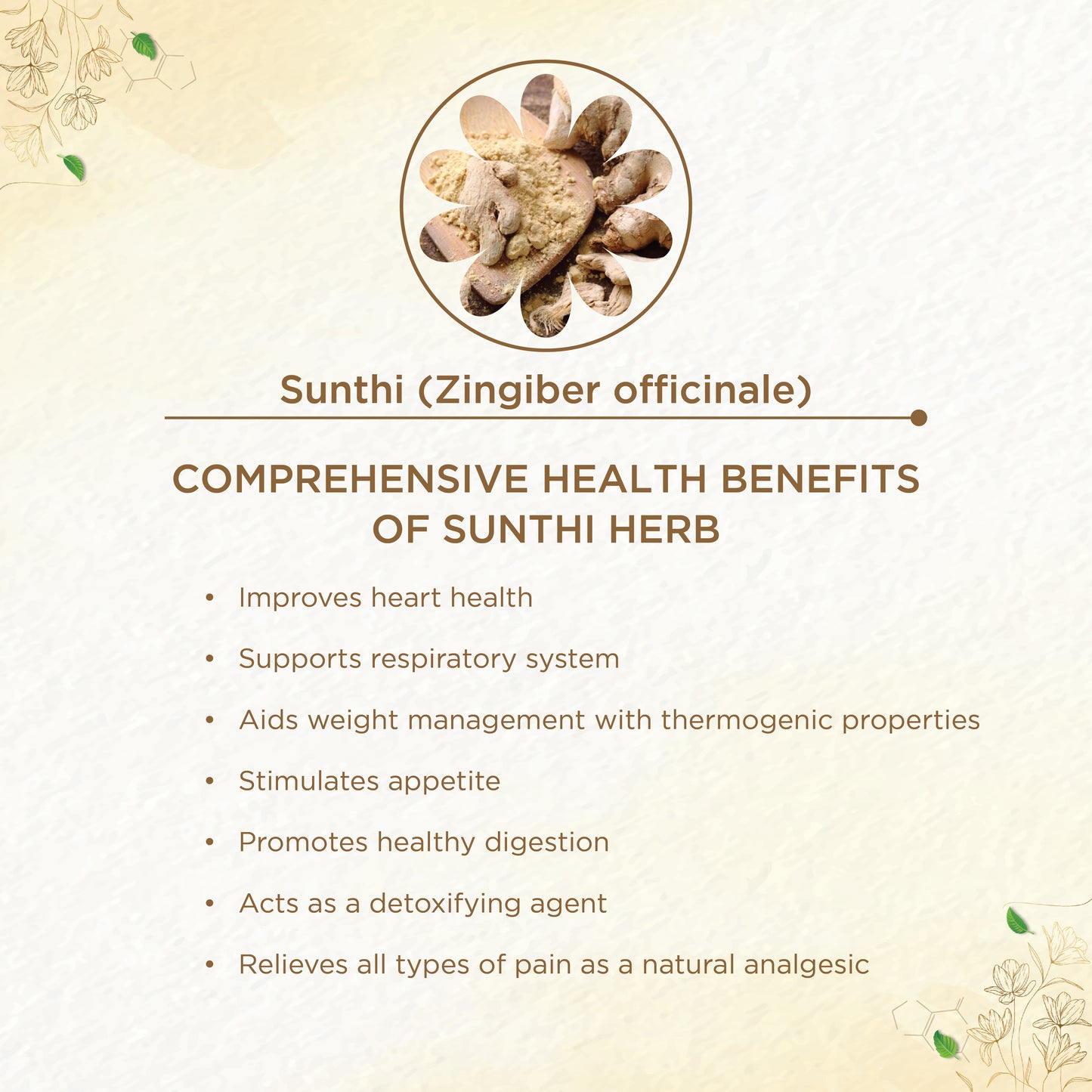 SUNTHI CHOORNAM FOR DIGESTIVE HEALTH AND METABOLISM | AYURVEDIC SUPPLEMENT FOR RESPIRATORY DISORDERS | JOINT PAIN RELIEF | HEADACHE | SUNTHI – 50 Gms