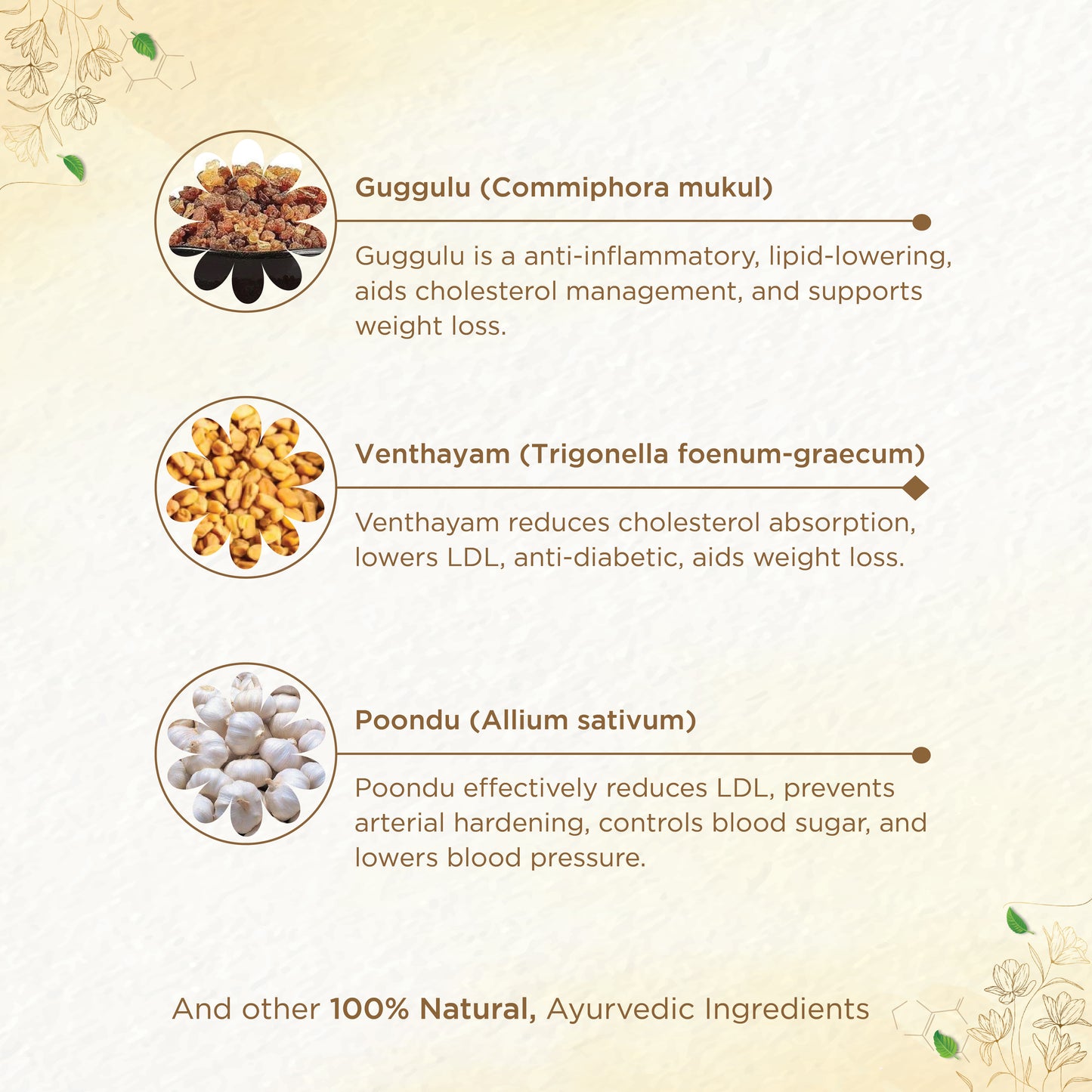 Triglip Capsule for Cholesterol Management | Herbal Supplement for a Healthy Heart | Guggulu | Fenugreek | Weight Loss | Garlic – 60 Capsules