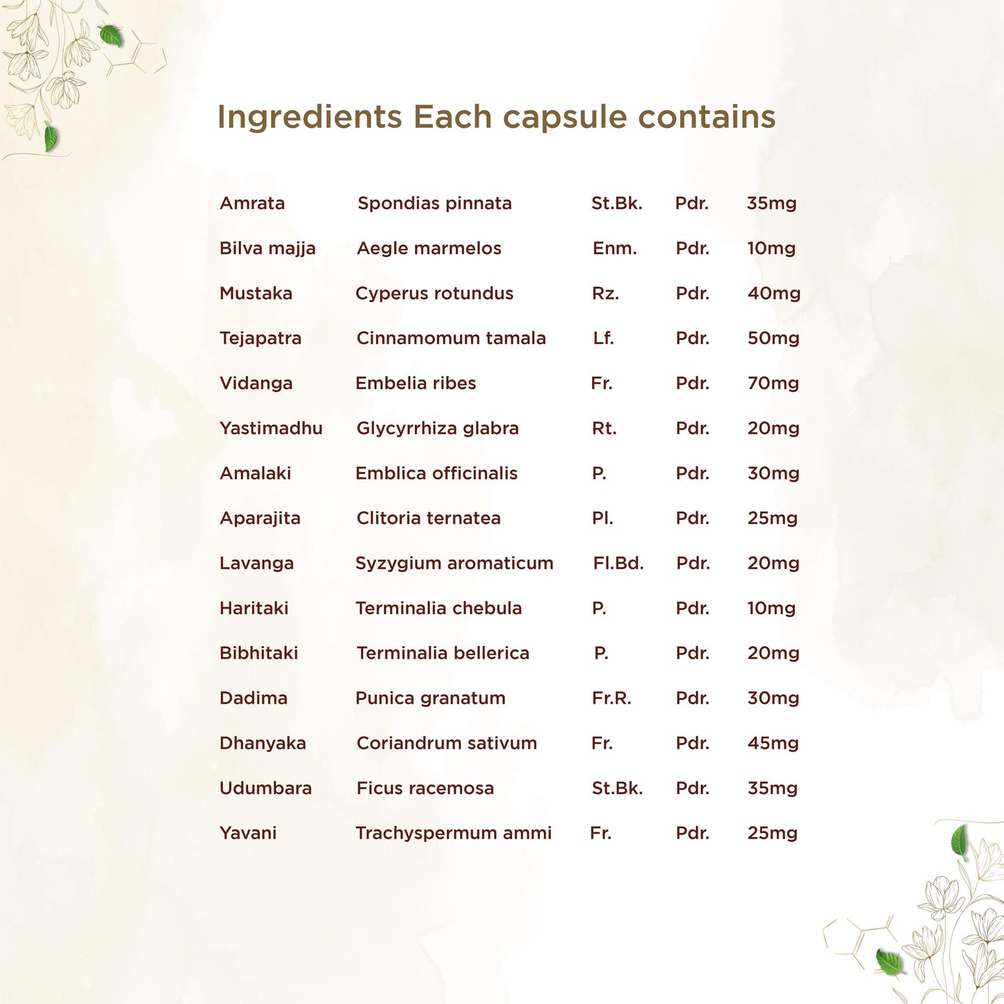 shreevarma Amruthuls Capsule for Better Digestive Health | Relief from Acidity, Constipation, and Gastritis | Enhances Pitta balance | Triphala - 60 capsules