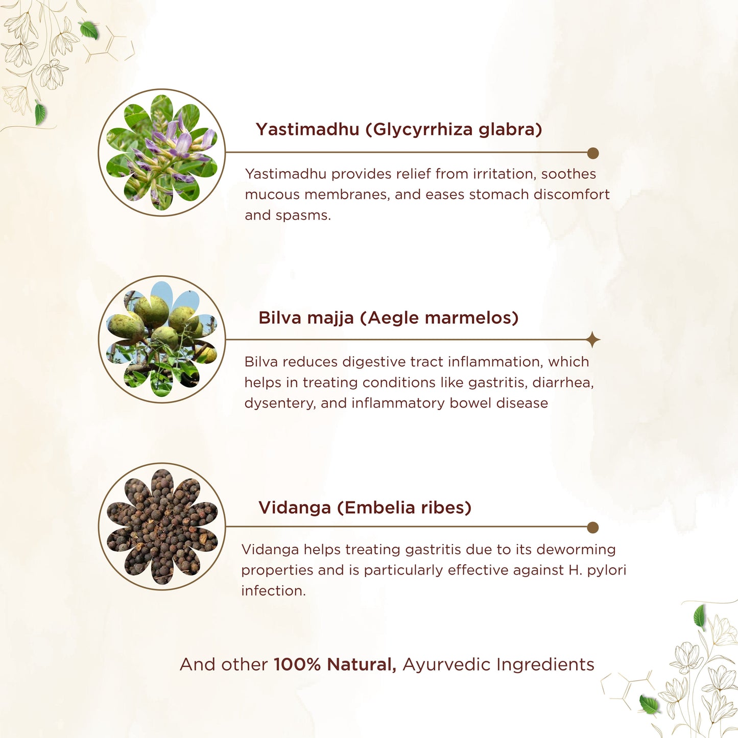 shreevarma Amruthuls Tablets | For Better Digestive Health | Relief from  Acidity, Constipation, and Gastritis | Enhances Pitta balance | Triphala - 60 Tablets