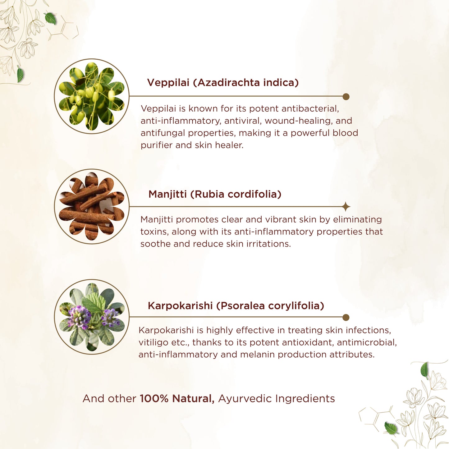 shreevarma Capsule Dermanil Capsule for Blood Purification | Siddha Formulation for Psoriasis and All Chronic Skin Disorders | Veppilai | Removes the Toxins from BloodStream | 180's