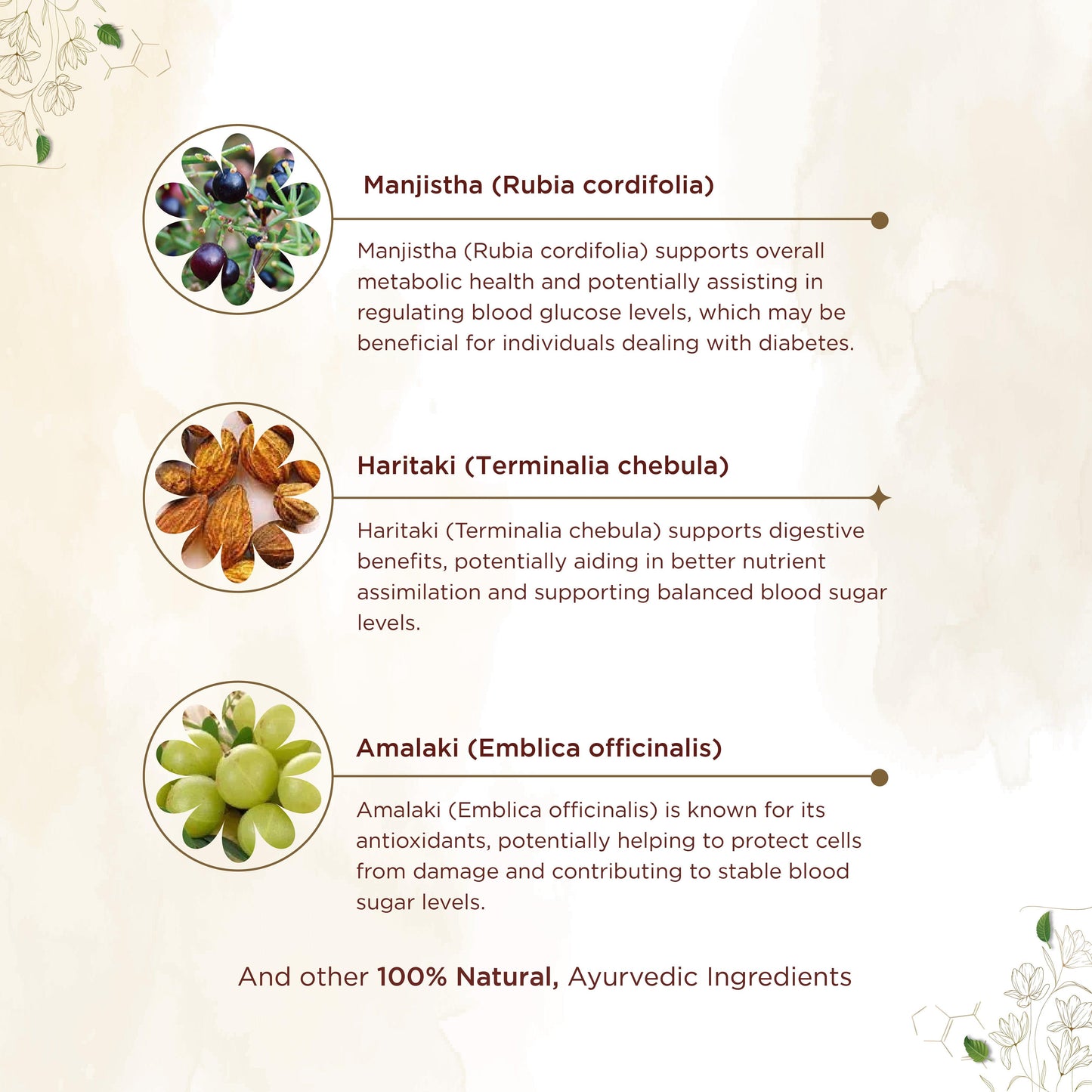 shreevarma Capsule Mehnil Capsule For Diabetes | Ayurvedic Supplement for the Sugar | Maintains Blood Glucose Level | Effective Diabetes Management with Herbs — 60 Capsules