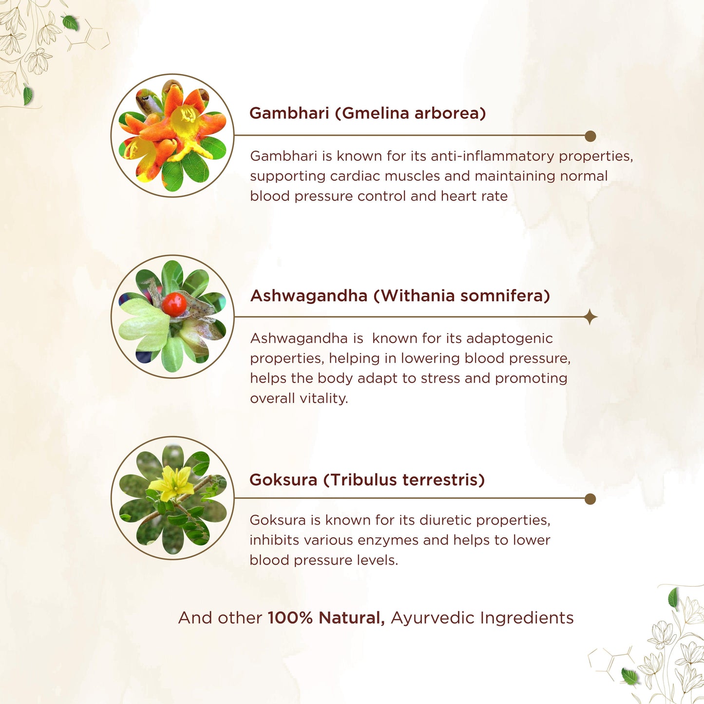 shreevarma Capsule Rakkshak Capsule For Blood Pressure | Ayurvedic Supplement for Hypertension | Stress | Insomnia | Ashwagandha | Effectively Lowers Blood Pressure — 60 Capsules