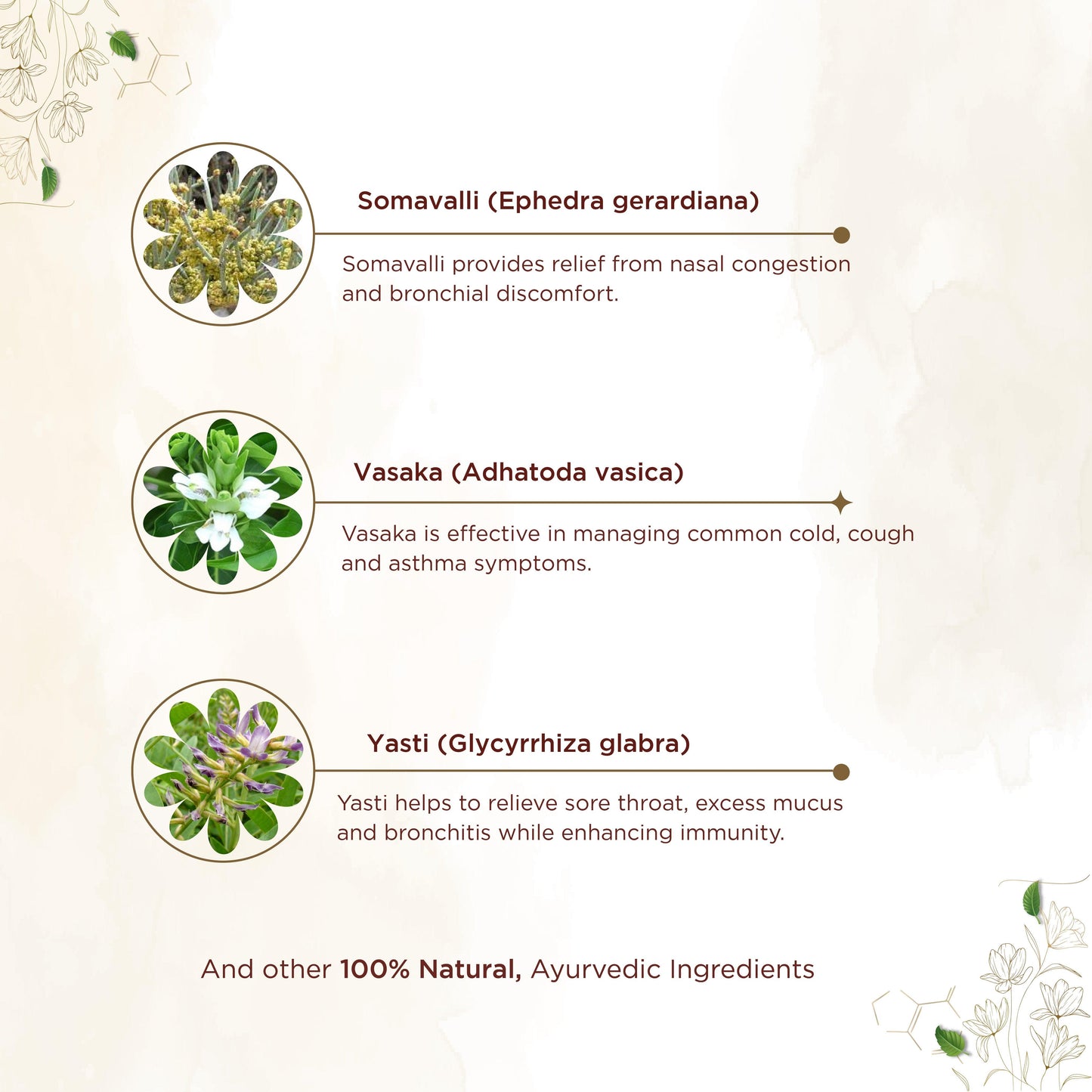 shreevarma Capsule Respokalp Capsules for Treating Asthma | Ayurvedic Medicine for Wheezing and Respiratory Relief | Tulasi | Yastimadhu | Immunity Booster | Vitamin C – 60 Capsuless