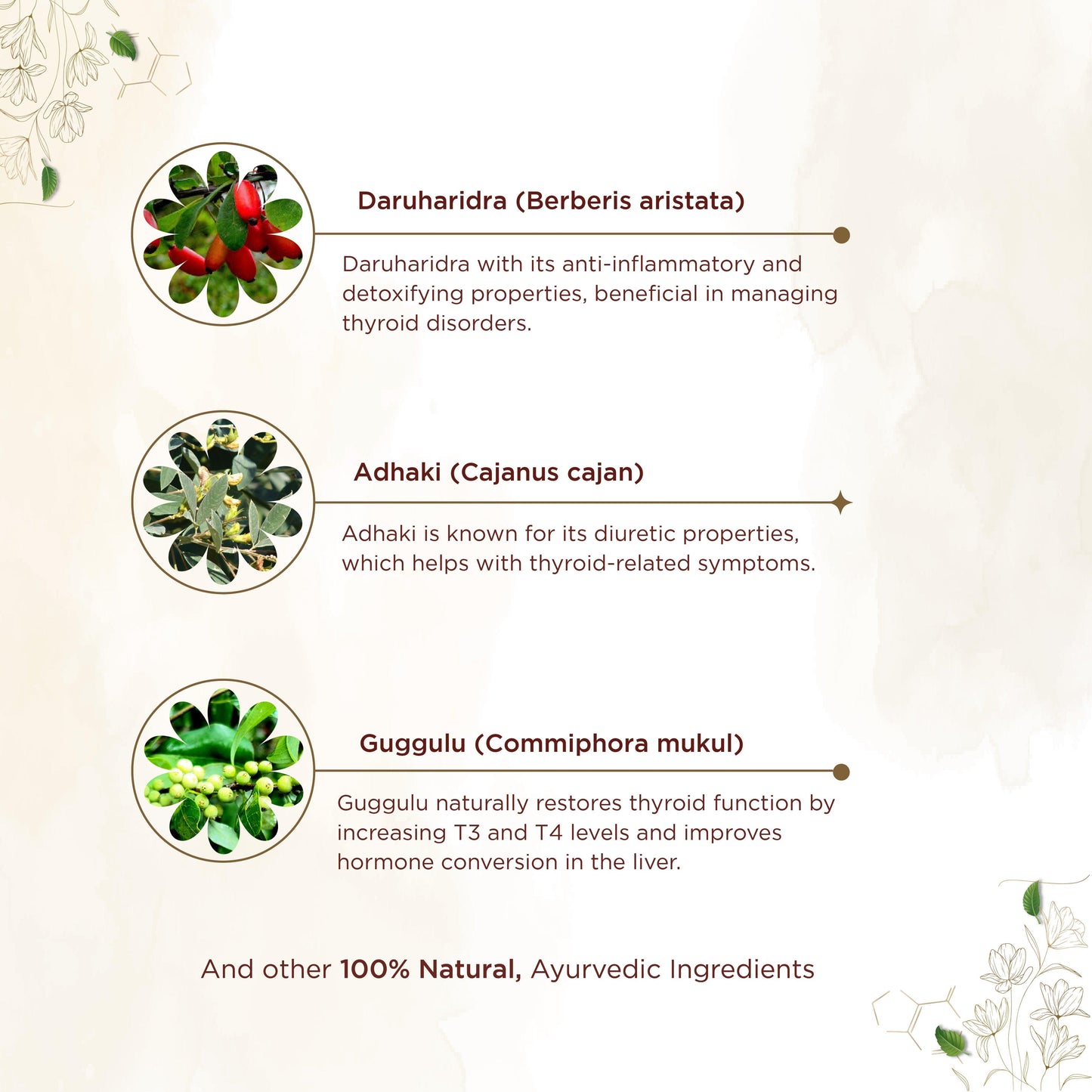 shreevarma Capsule Thyrex Capsules for Thyroid | Ayurvedic Supplement for Hypothyroidism and Hyperthyroidism | Prevents Hair Loss | Manages Weight | Anti-Inflammatory | Balances Hormones – 60 Capsules