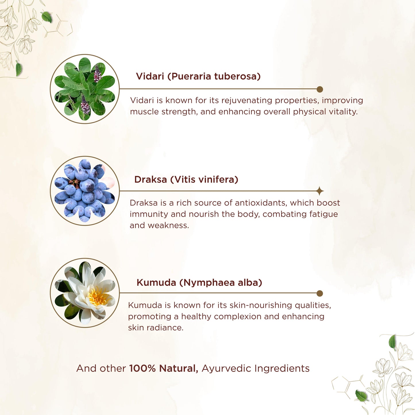 shreevarma Gvaniya Capsule for Men & Women’s Wellness| Ayurvedic Supplement to Boost Immunity | Healthy Reproduction | Anti-Aging | Draksa | Vidari – 60 Capsules