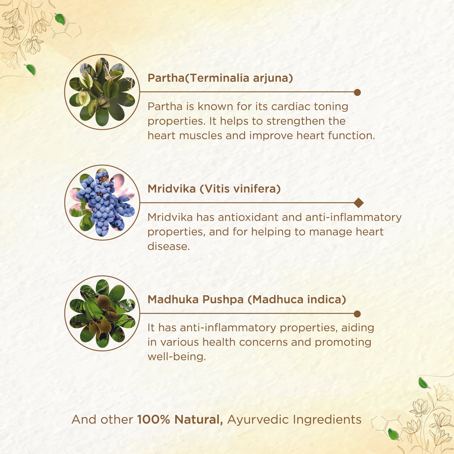 shreevarma Hruth Care Choornam for Heart Disease | Ayurvedic Supplement for Heart Health | Regulates Blood Pressure | Arjuna | Mridwika | Controls High Cholesterol
