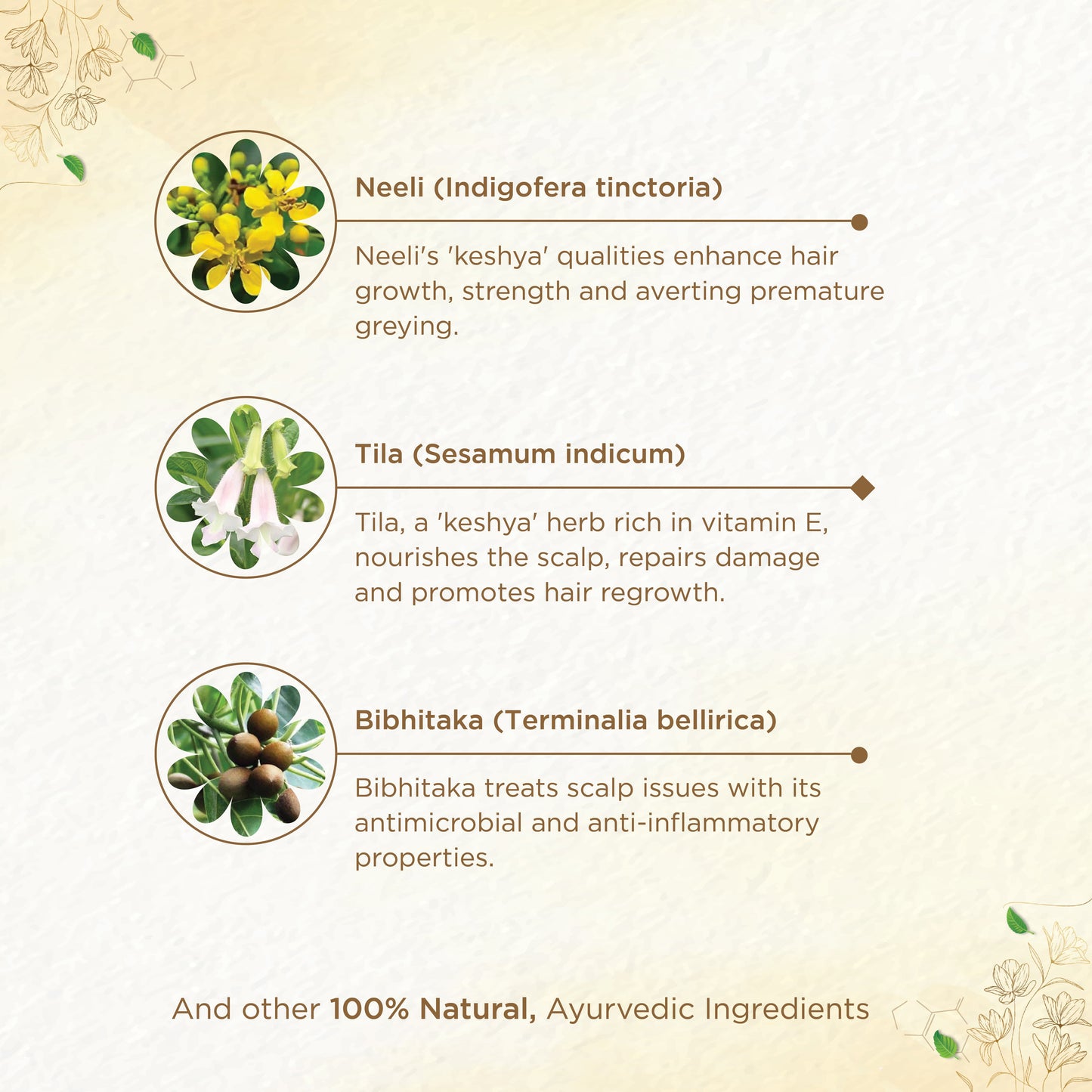 shreevarma Keshya Amruth Choornam for Hair Growth | Ayurvedic Supplement Prevents Hair Fall and Treats Premature Graying | Asana | Ketaki | Hair Strength and Nourishment