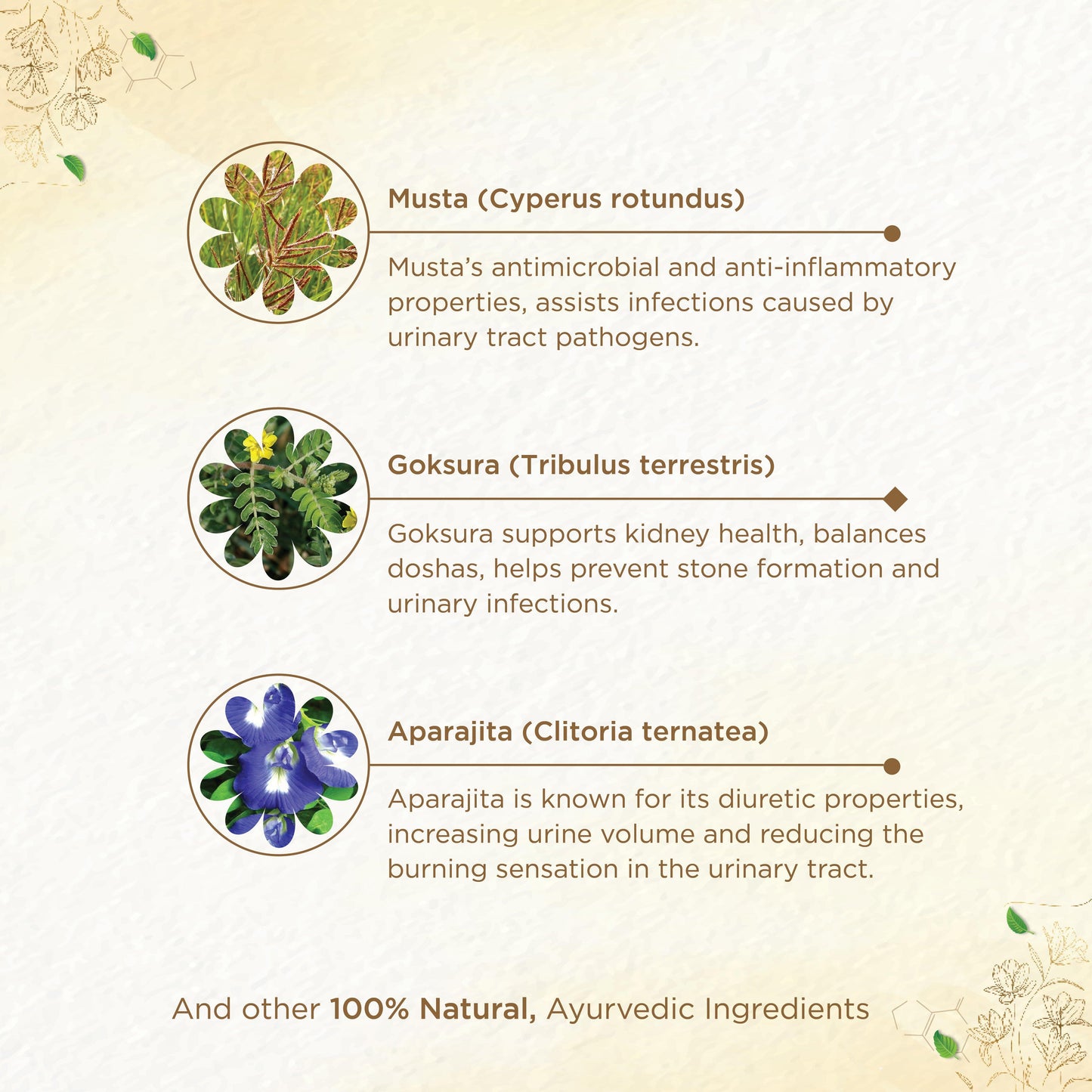 shreevarma Rejuvenator Reknown Rasayanam for Renal Care | Ayurvedic Supplement for Urinary Infection | Kidney Detox | Effective against Kidney Stone | Triphala | Goksura