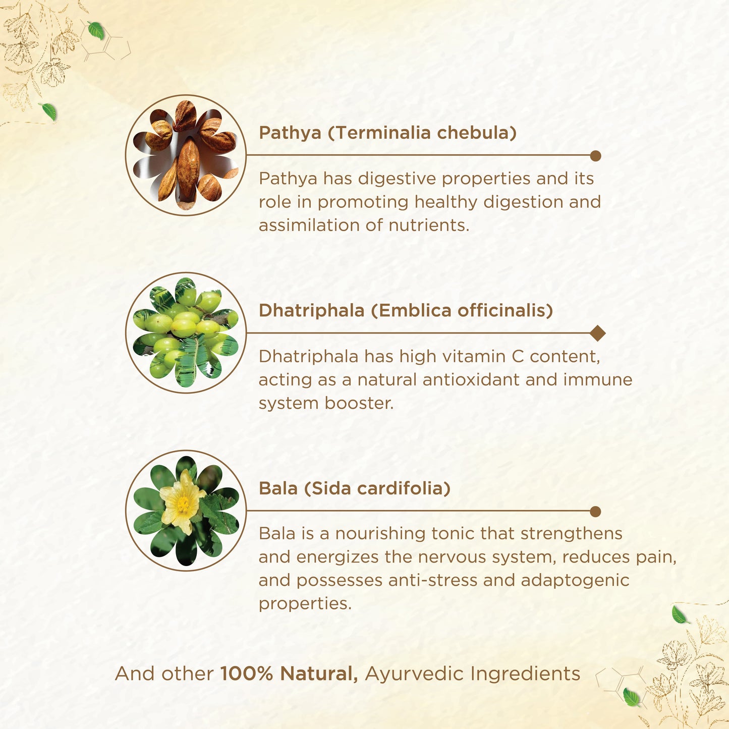 shreevarma Rejuvenator Shree Nerve Majjadhatu Rasayanam for Nerve and Muscle Relief | Ayurvedic Supplement to Neuroprotection | Dasamoola | Bala | Nerve Regeneration