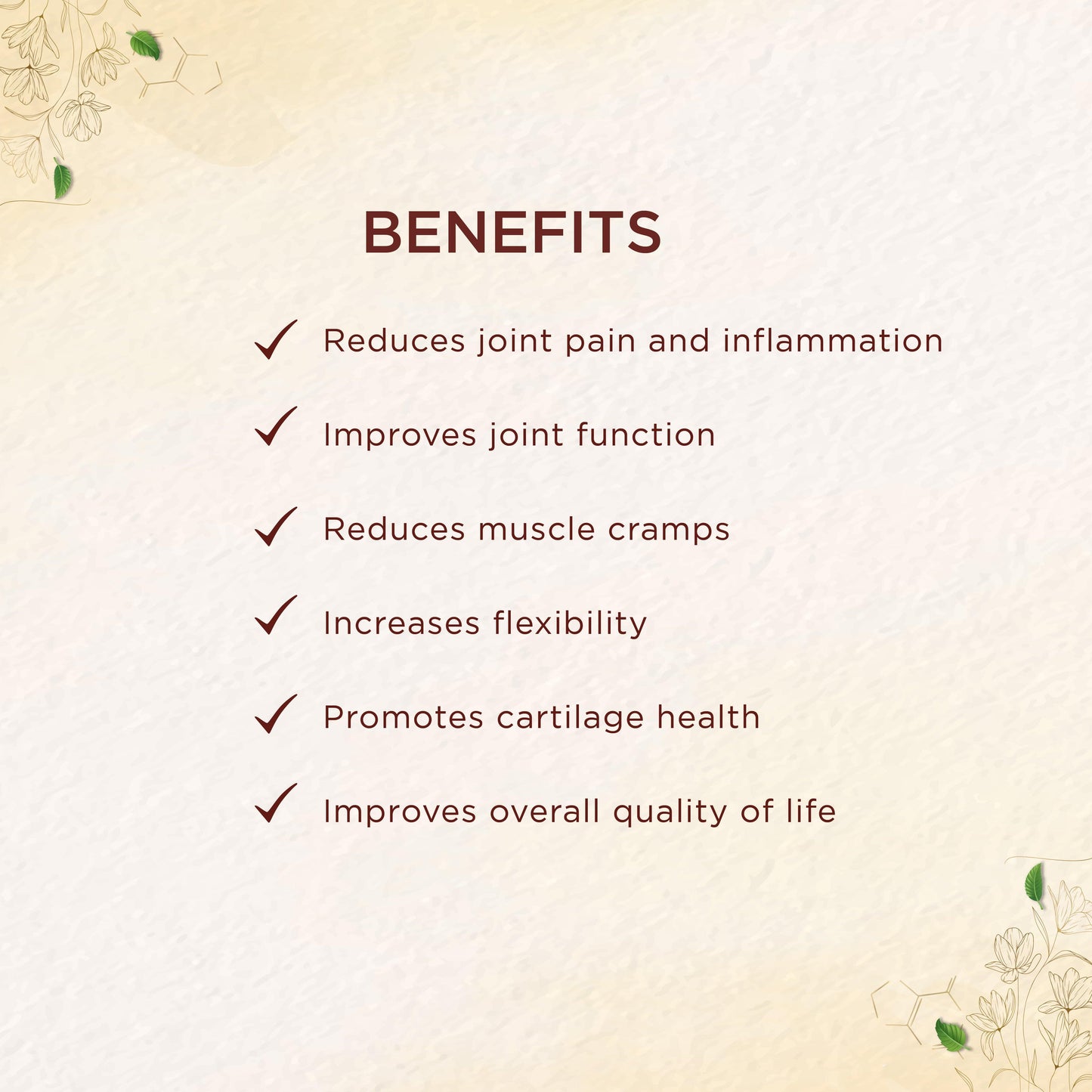 shreevarma Soft GEL Orthocure SG Capsules for Bone Care | Anti-Inflammation | Mobility | Flexibility | Ayurvedic Supplement to Reduce Joint Pain | Rasna | Bala – 60 Capsules