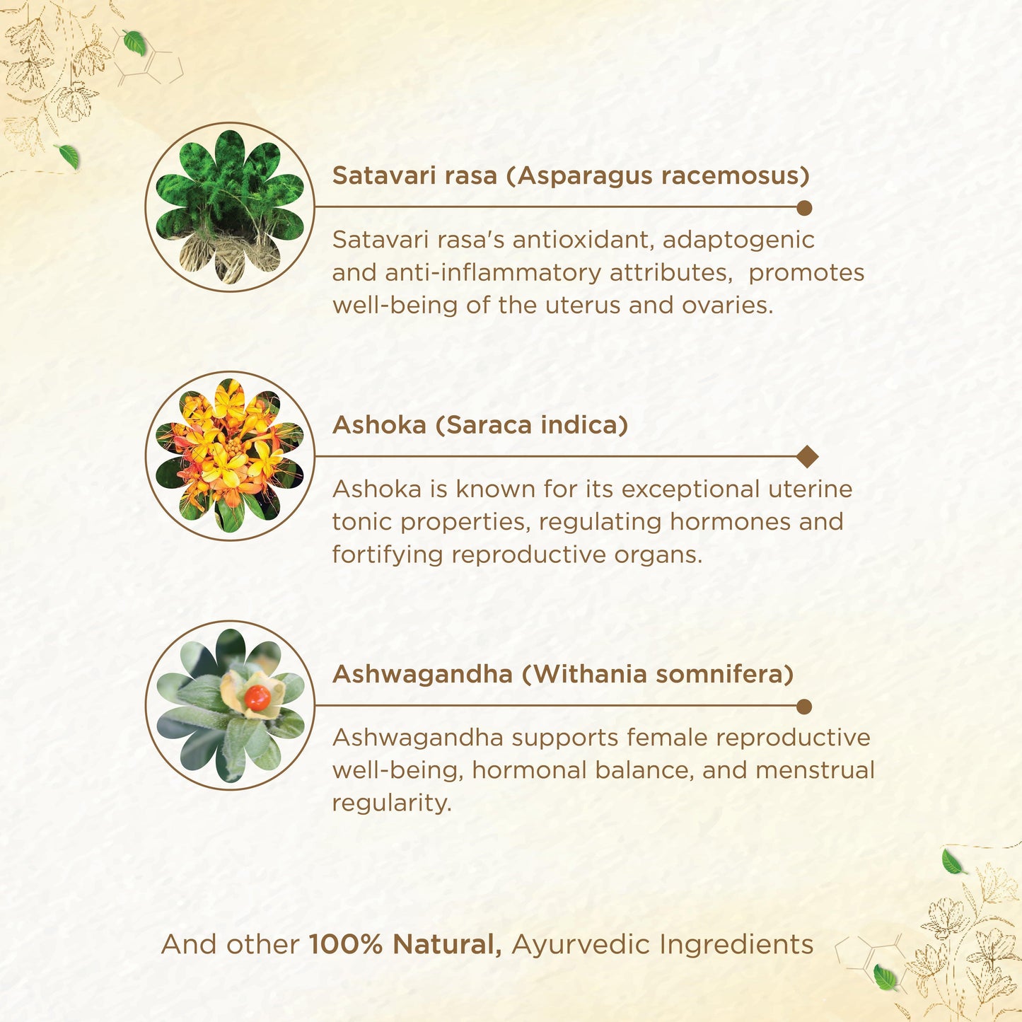 shreevarma Syrup Shree Care Syrup for Women’s Wellness | Ayurvedic Supplement for Menstrual Health | PCOD | Ashoka for Hormonal Imbalances | Uterine tonic