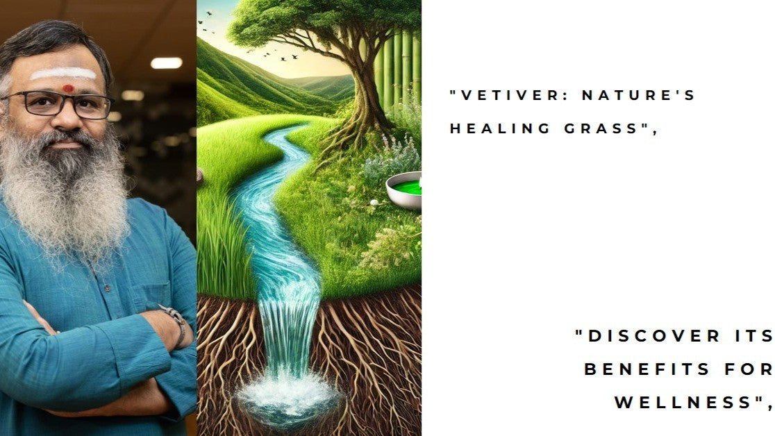 Vetiver: The Grass That Heals the Earth and Nurtures Wellness