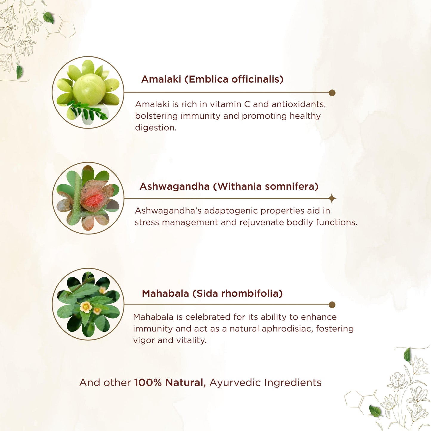
                  
                    shreevarma Capsule Chyavaan Capsules for Boosting Immunity | Ayurvedic Supplement to Increase Energy | Vitamin C | Amlaki | Ashwagandha | Atmagupta - 60 capsules
                  
                