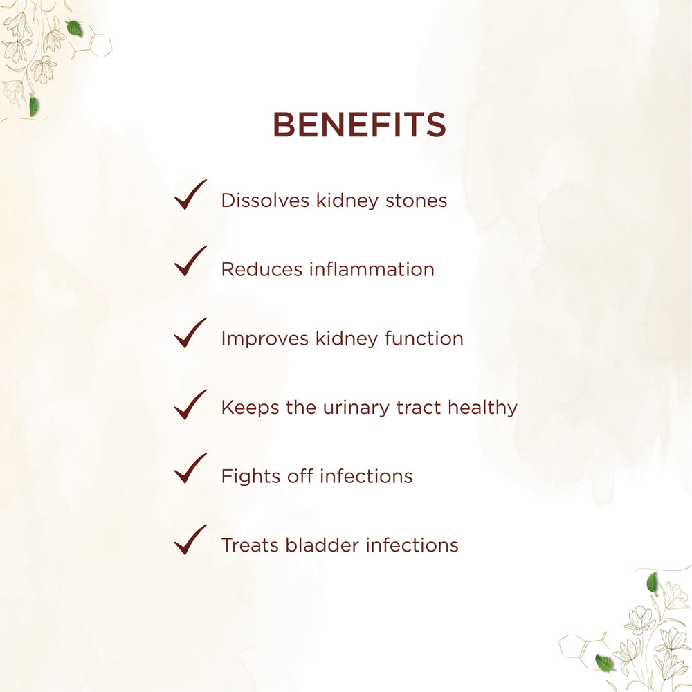 shreevarma Capsule Reknown Capsules for Renal Care | Ayurvedic Supplement for Urinary Infection | Kidney Detox | Effective against Kidney Stone | Punarnava | Goksura | Aprajitha — 60 Capsules