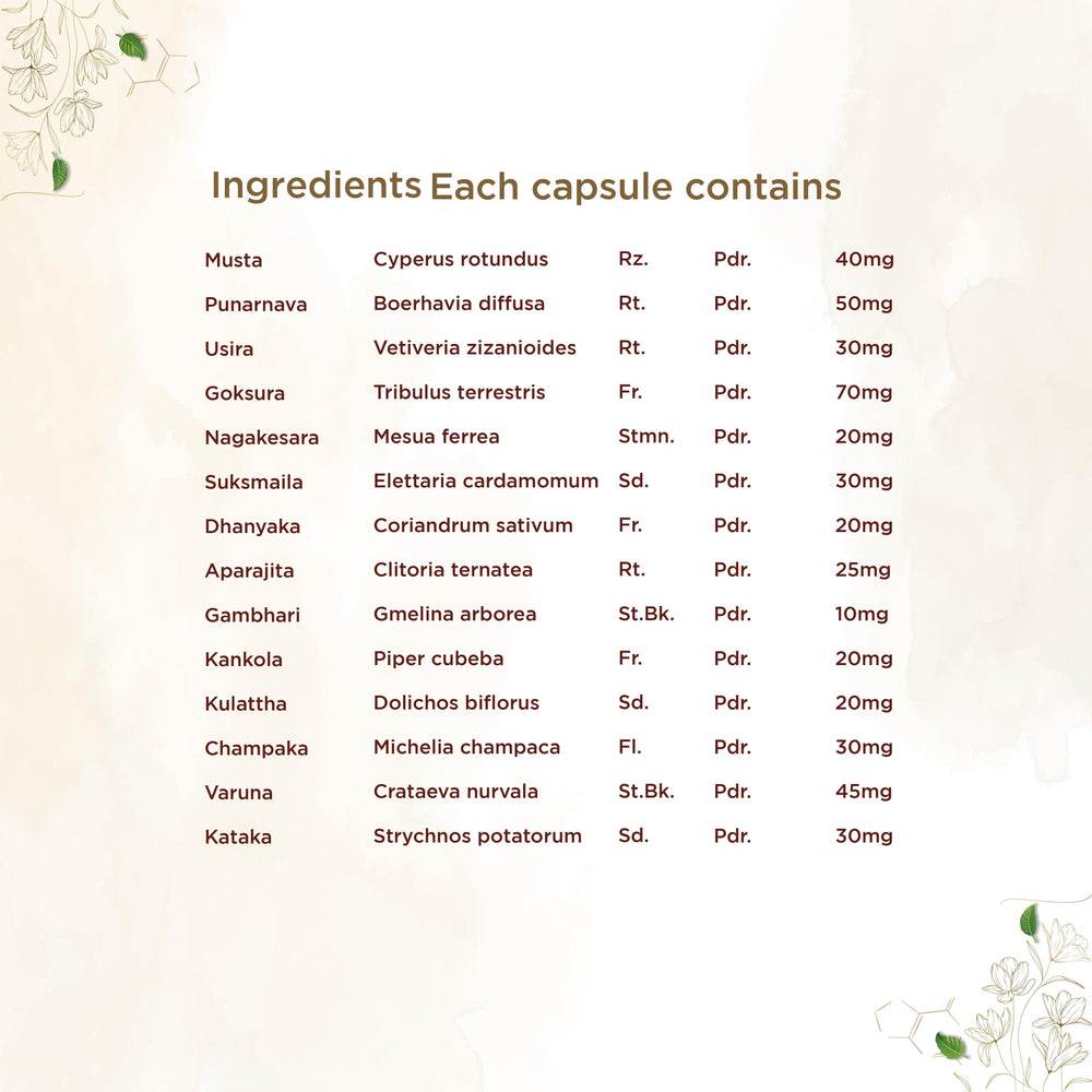 shreevarma Capsule Reknown Capsules for Renal Care | Ayurvedic Supplement for Urinary Infection | Kidney Detox | Effective against Kidney Stone | Punarnava | Goksura | Aprajitha — 60 Capsules